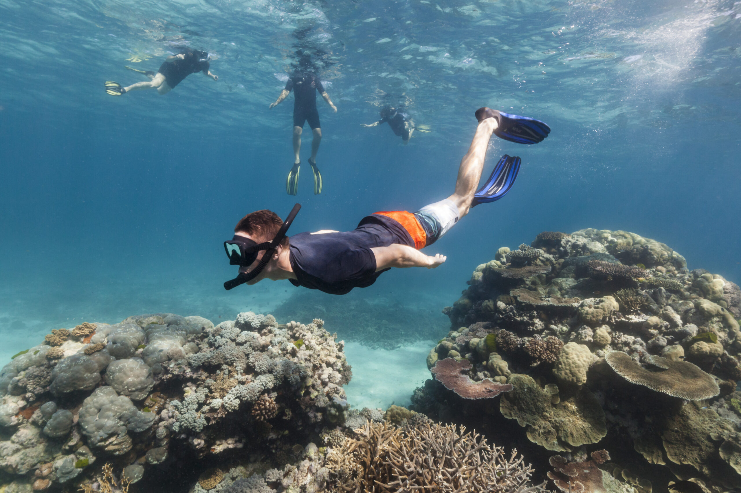 Snorkeler at Agincourt Reef Calypso Reef Cruises | what is snorkelling and scuba diving