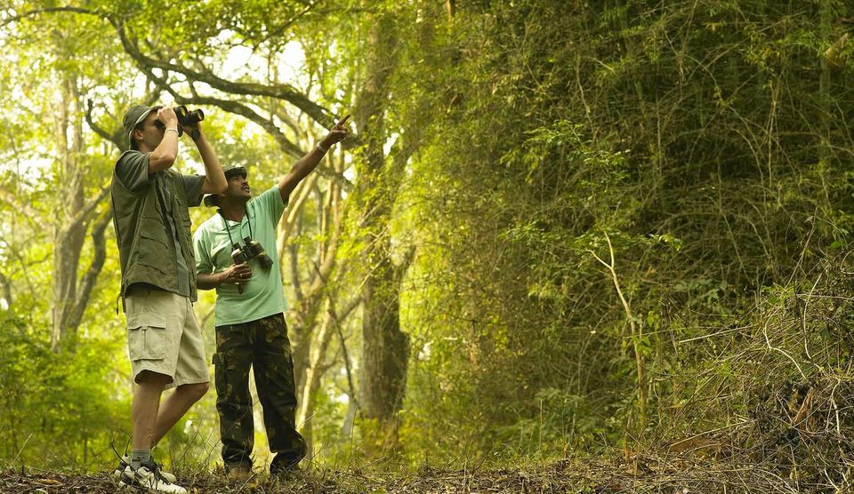 Tracking in west bali national park